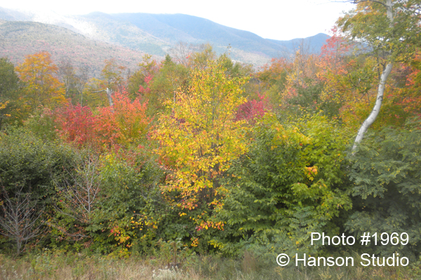 Mountain Foliage